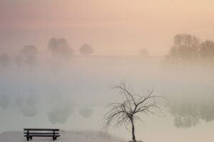 5 Empowering Ways to Boost Positivity in Seniors' Lives