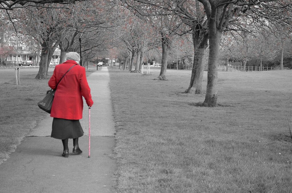 Senior Fall Risks