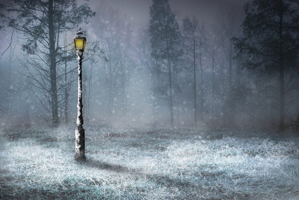 Seasonal Affective Disorder