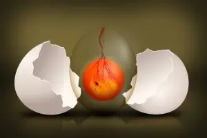Moderate Protein Intake May Unlock the Secret to Longer Life