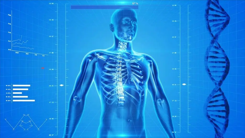 Google's MedLM: Revolutionizing Healthcare with AI