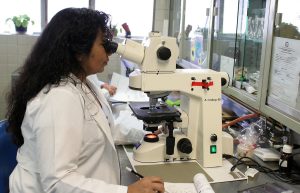 Lecanemab: A New Hope in Alzheimer's Treatment Amidst Concerns
