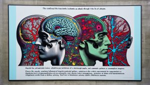 Enduring Impact of TIA