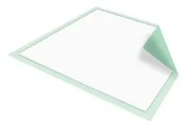 McKesson Underpads Regular